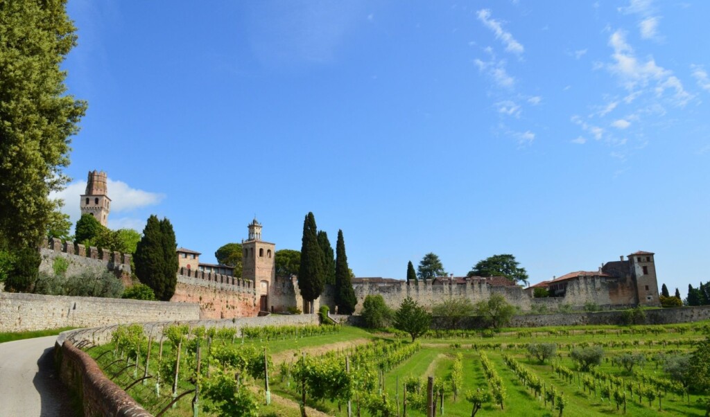 Camminando_Castello_di_San_Salvatore